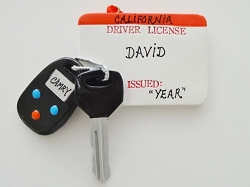 Driver&#039;s License
