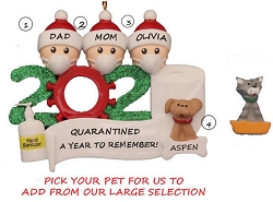 2020-2021 Covid/Pandemic Ornaments